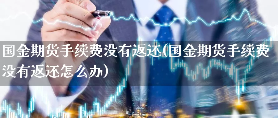 国金期货手续费没有返还(国金期货手续费没有返还怎么办)_https://www.langshilaifu.com_期货入门_第1张