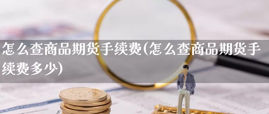怎么查商品期货手续费(怎么查商品期货手续费多少)_https://www.langshilaifu.com_期货入门_第1张