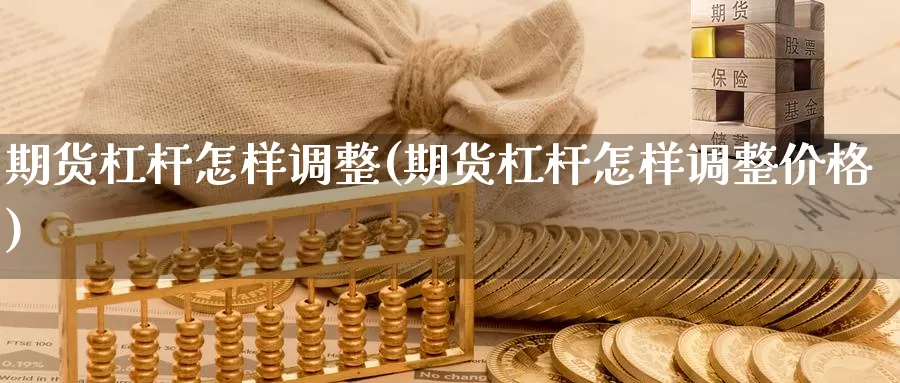 期货杠杆怎样调整(期货杠杆怎样调整价格)_https://www.langshilaifu.com_期货入门_第1张