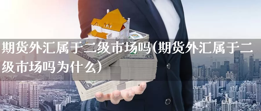 期货外汇属于二级市场吗(期货外汇属于二级市场吗为什么)_https://www.langshilaifu.com_德指直播_第1张